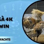 đá gà 4k 78win