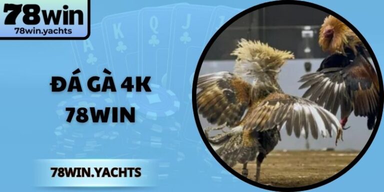 đá gà 4k 78win