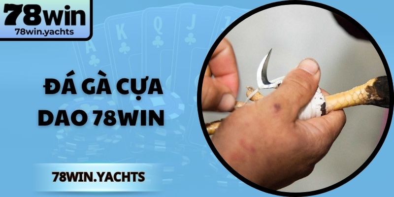 Đá gà cựa dao 78win