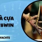 Đá gà cựa sắt 78win